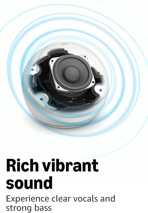Smart WiFi Bluetooth Speaker with Voice Assistant Premium Sound Charcoal Home