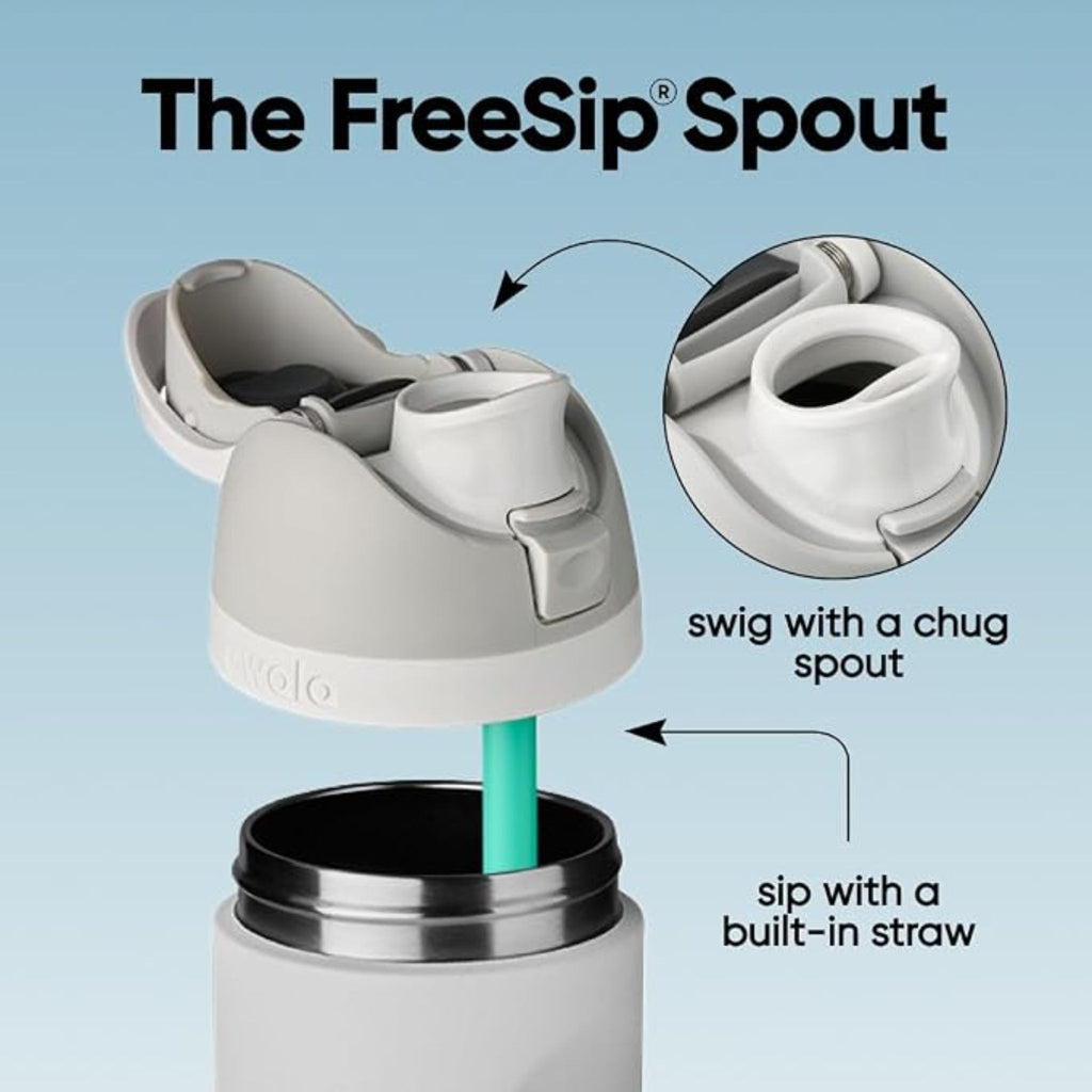 24oz Insulated Stainless Steel Water Bottle Straw BPA-Free Travel Sports Bottle