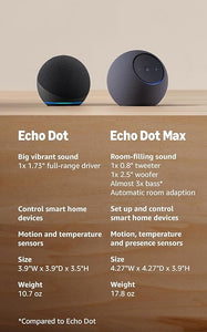 Smart WiFi Bluetooth Speaker with Voice Assistant Premium Sound Charcoal Home