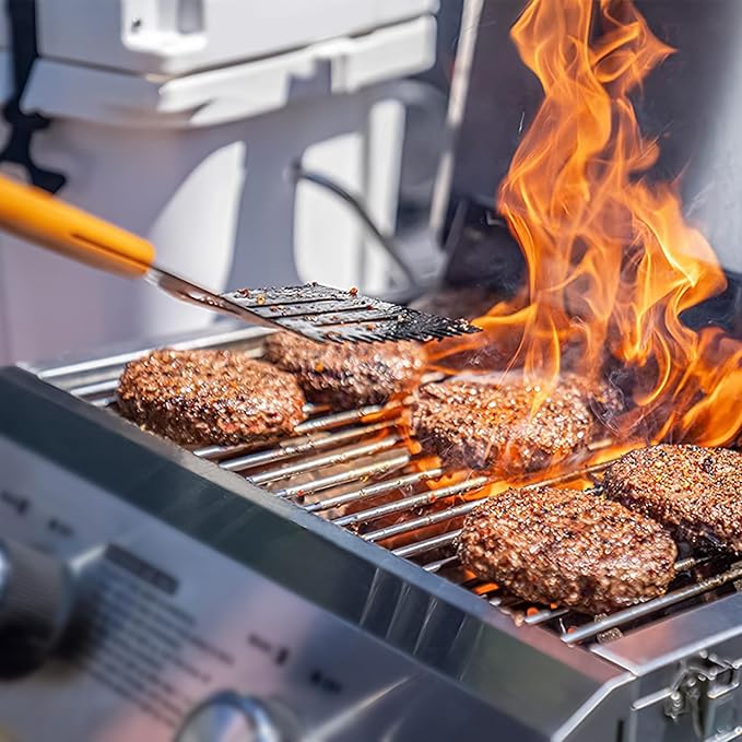 Monument Tabletop Propane Gas Grill Portable Stainless Steel Camping Outdoor Cooker